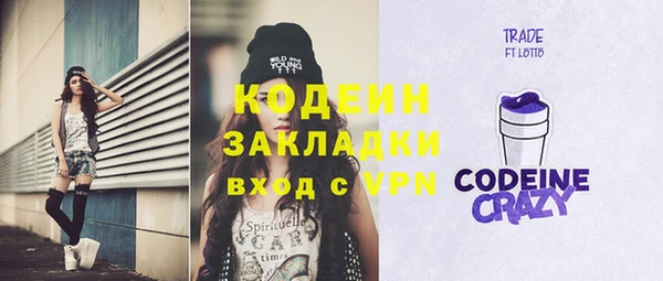 индика Магас