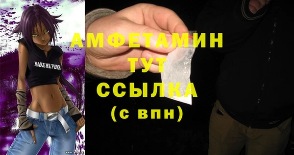 индика Магас