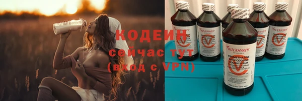 индика Магас