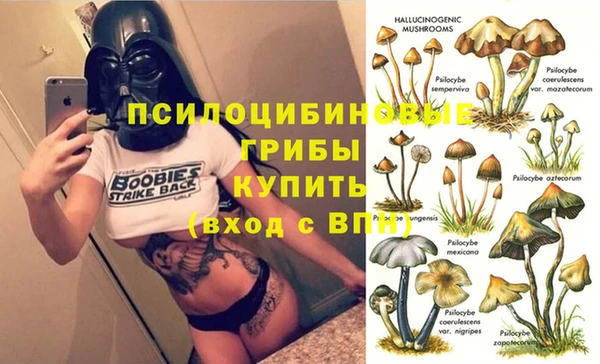 индика Магас