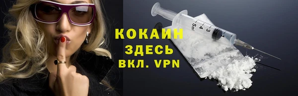 индика Магас