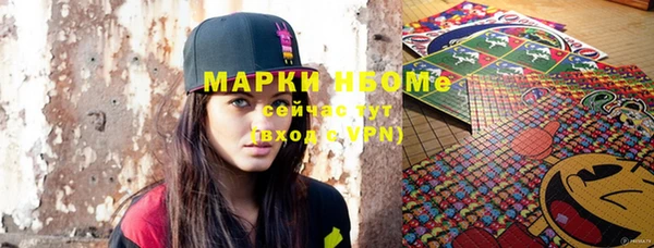 индика Магас