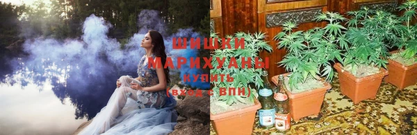 амф Майский