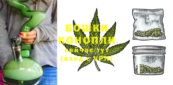 амф Майский