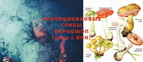 индика Магас