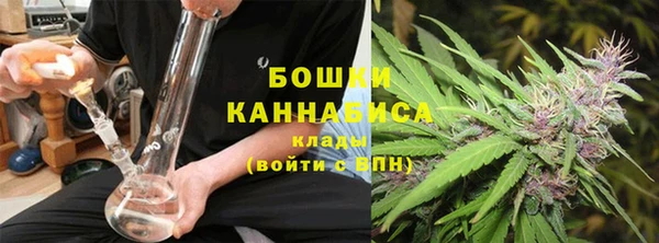 амф Майский